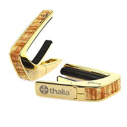 Hummingbird Koa Capo
