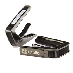 Large Block Inlay Capo